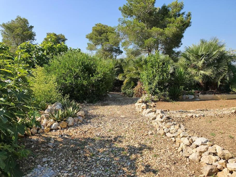 Le Petit Paradis Olivella Buitenkant foto