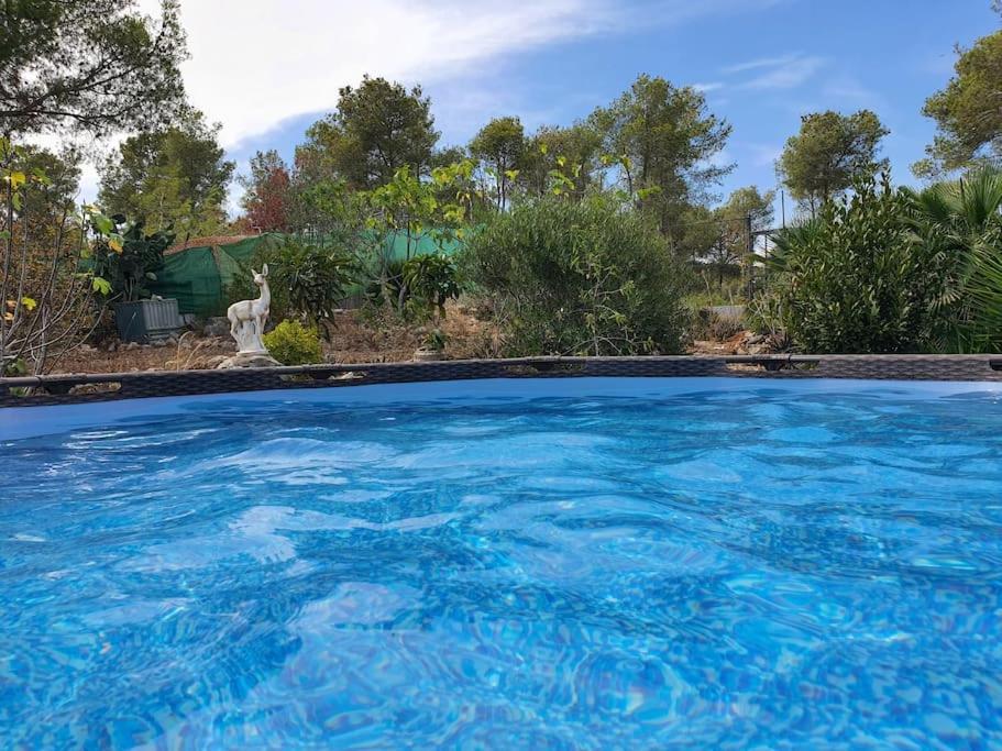 Le Petit Paradis Olivella Buitenkant foto